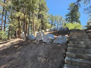 Freshly graded landscape bed with dark mulch and timber retaining wall among pine trees